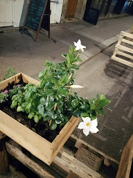 Photo n°21 de Le fer à cheval à Paris (Bistro)