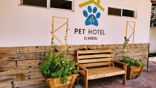 El Vergel Clínica Veterinaria