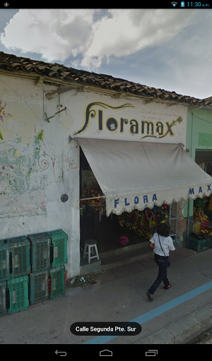 Flora Max - Visual