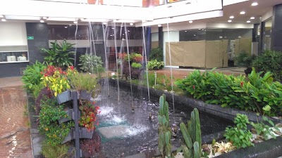 Photos of Header Stage II Shopping Center