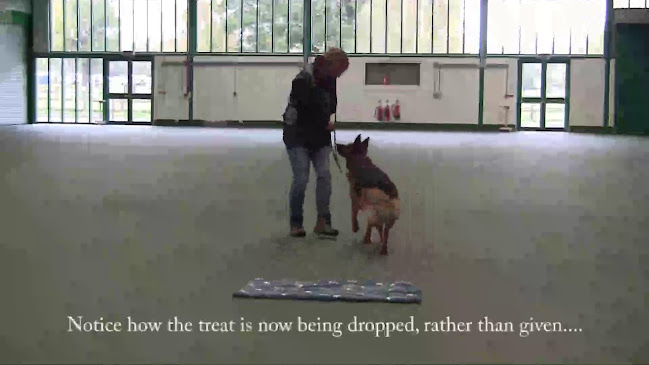 Reviews of Vicky Lawes @ LawesPaws in Watford - Dog trainer