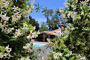 Photo n°16 de Les Sittelles Pinarello à Sainte Lucie de Porto Vecchio (Agence de location de maisons de vacances)