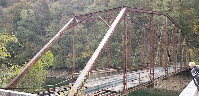 The Jumping Bridge on Norris Lake