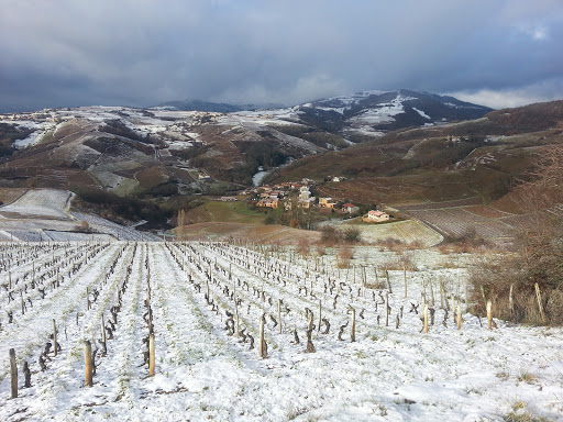 Vivre-en-Beaujolais - Thumbnail