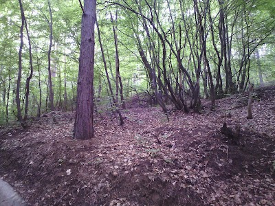 Photos of University of Forestry