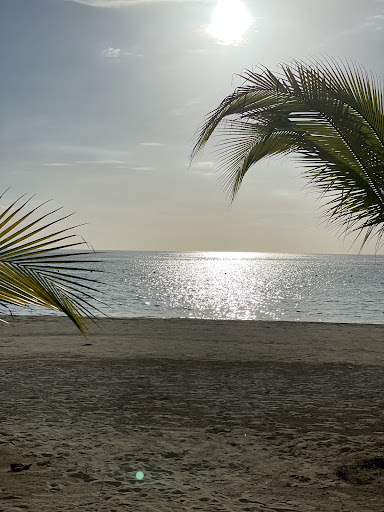 Excellent Escapes Travel, LLC