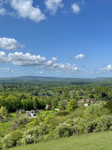 Reigate Viewpoint - Visual