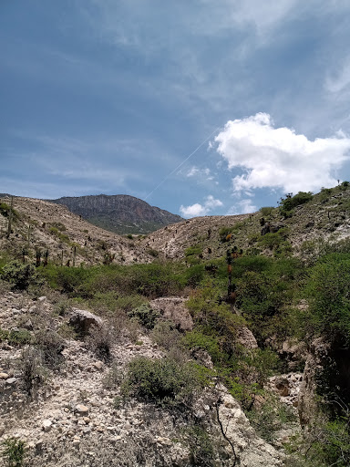 Santa Ana Teloxtoc - Thumbnail