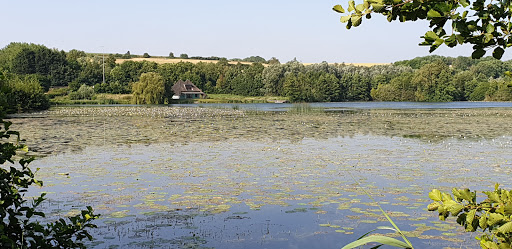 Photo de Randonnées dans les Marais de Long, Longpré-les-Corps-Saints à Longpré-les-Corps-Saints (80510)