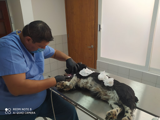 Clínica Veterinaria a Domicilio Mascota Mia