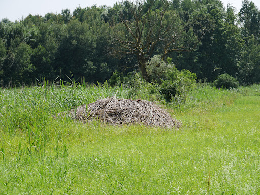 Vogellebensraum Glöttgraben - Thumbnail