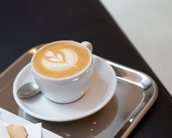 BENCH COFFEE CO. Lt Collins by null