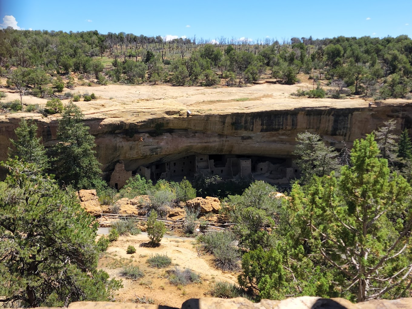 Photo of Spruce Tree House