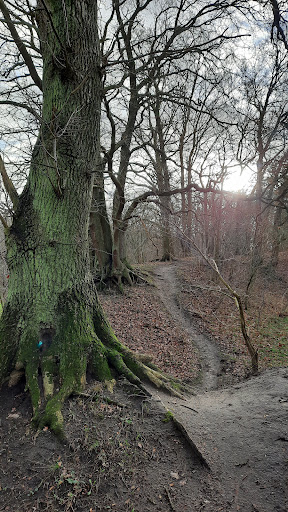 Blocksberg - Visual