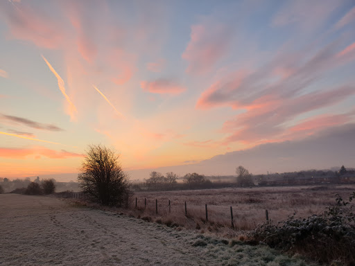 West Park Meadow Nature Reserve - Thumbnail