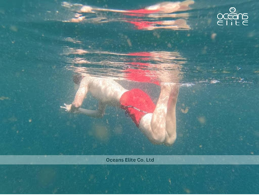 Oceans Elite Charters
