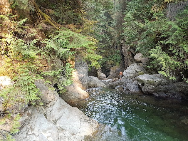 Lynn Canyon