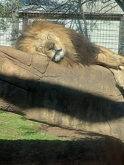 Greenville Zoo