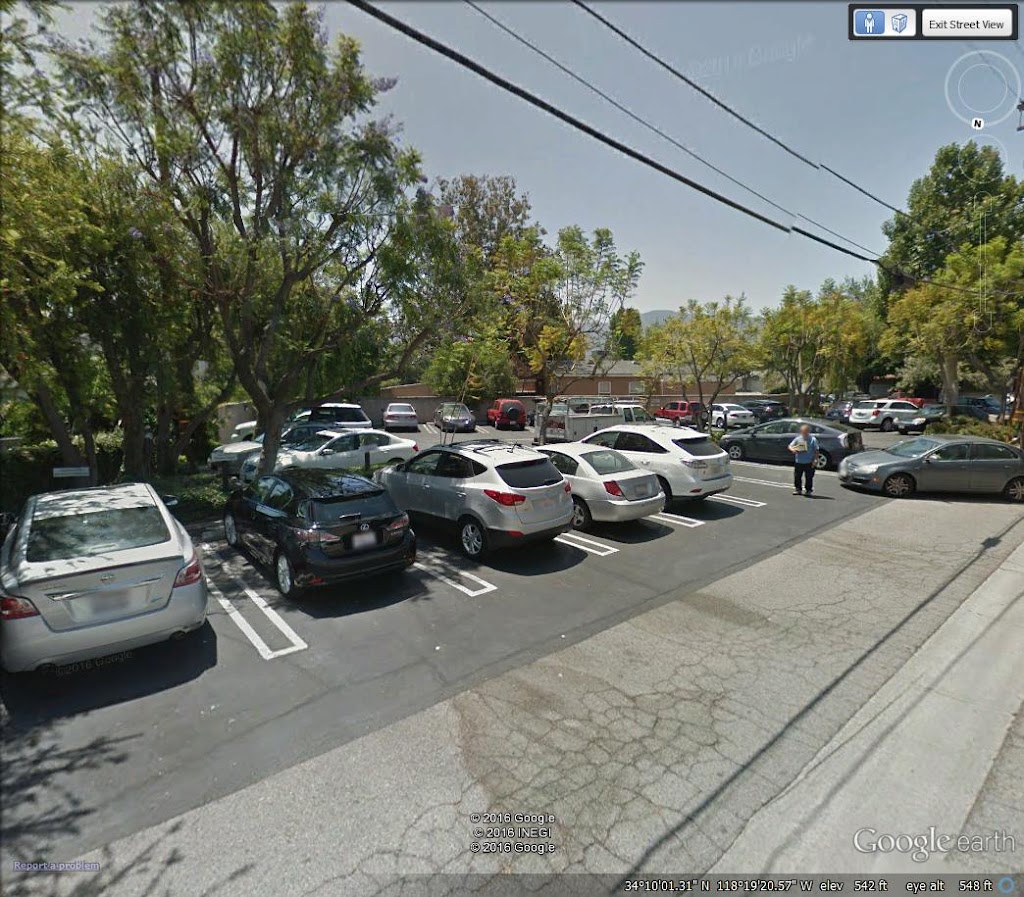 Dr Angela R Adelman Md