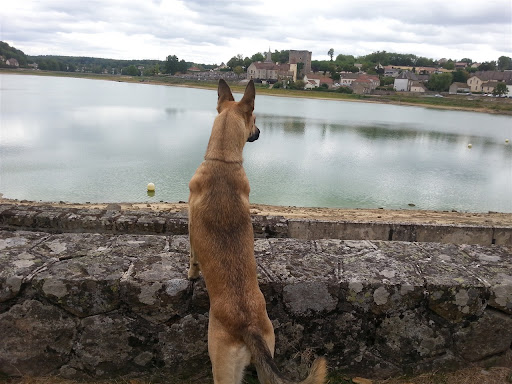 Photo de Domaine du Bas de Chêne à Saint-Sernin-du-Bois (71200)