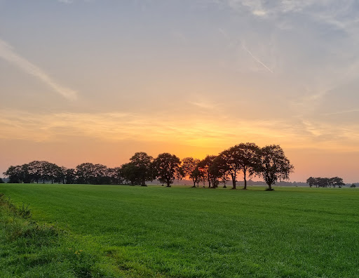 AllesKeurig.nl - Thumbnail