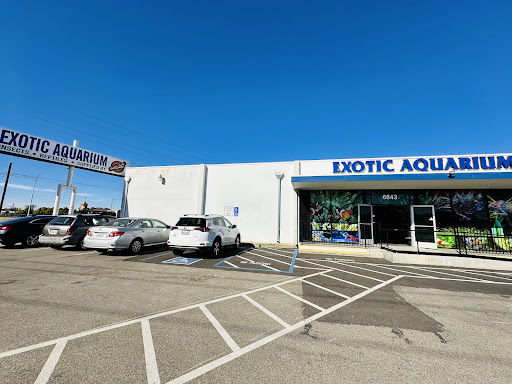 Exotic Aquarium