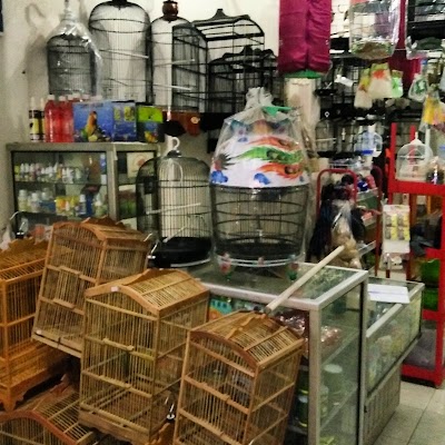 Photos of Ago Jaya Kios Burung & Pet Shop
