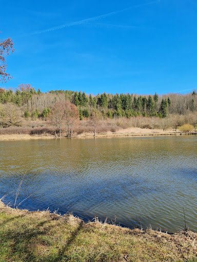 Aschbach - Thumbnail