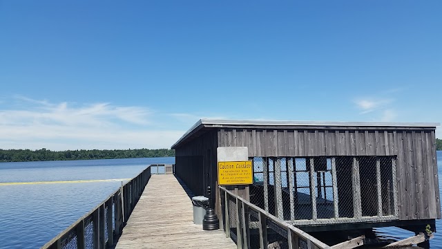 Jones Lake State Park
