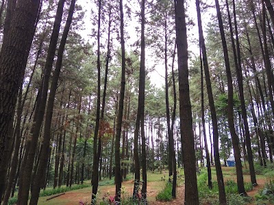 Photos of Mount Pancar