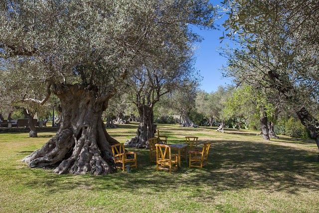 Jacques Garcia Resort