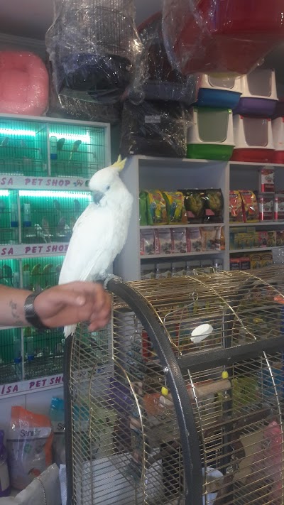 DUPNİSA PET SHOP