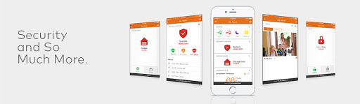 Alarm Link Security - Visual