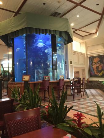 Aquatic Systems Consultants