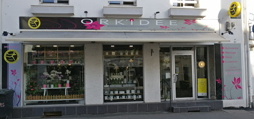 Ork'idée Fleurs - Visual