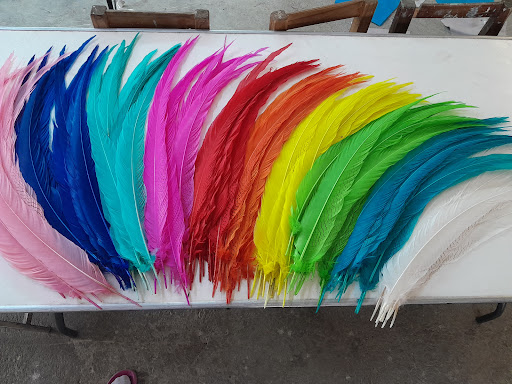 FEATHERS F.T - Thumbnail