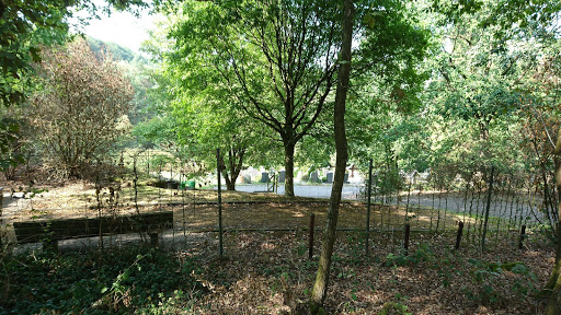 Friedhof Vicht