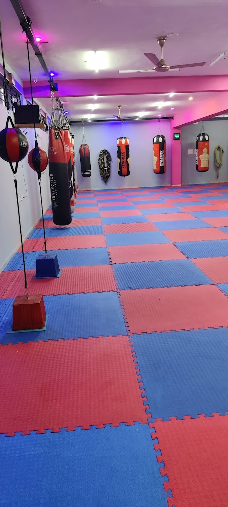 The Action Zone Boxing Fitness Fight Club