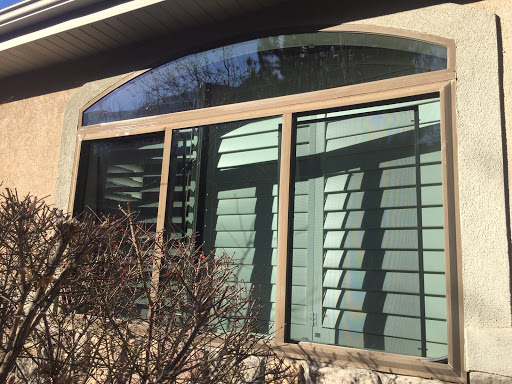 No Pane Window Cleaning Logo