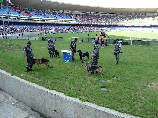 Parque das Ruínas