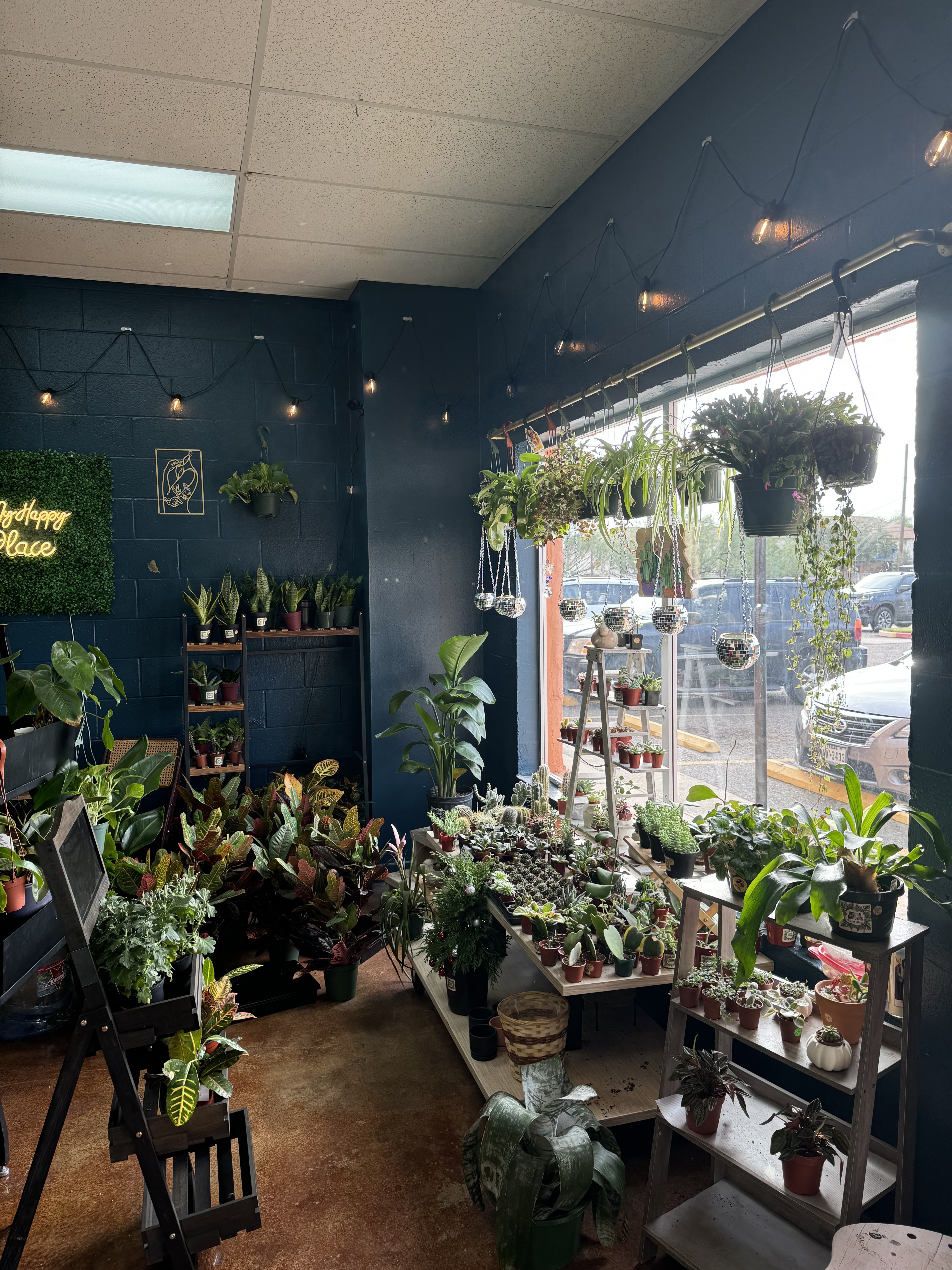 Indoor Gardens Plant Shop