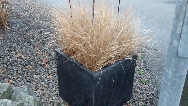 Anmeldelser af Kreative Blomster i Holstebro - Blomsterbutik