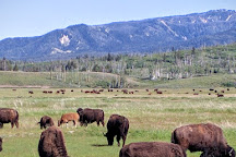Elk Ranch Flats Turnout, Grand Teton National Park, Grand Teton National Park, United States