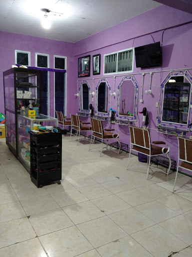 novysalon siborongborong