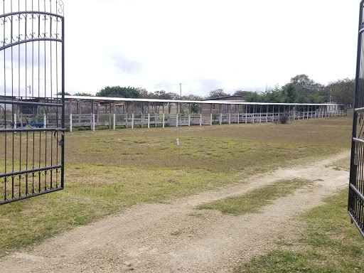 Asociación Ganadera Las Margaritas - Thumbnail