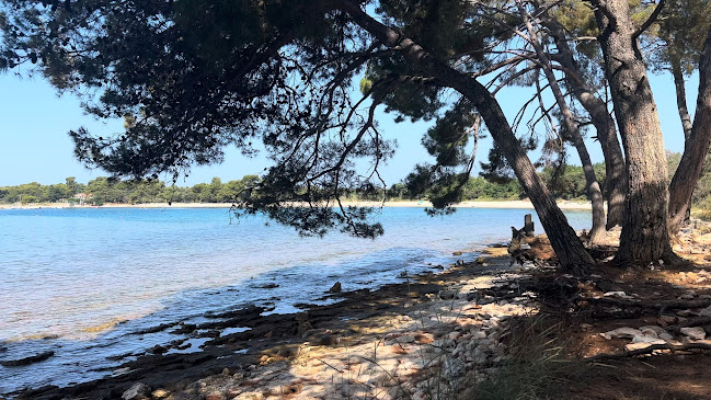 Recenzije Pineta a Barbigia Beach u Vodnjan - Teretana