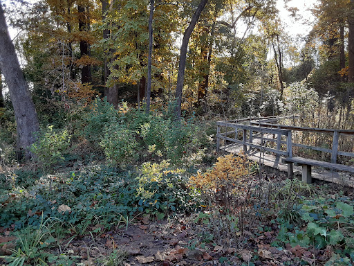 Washington Park Bog Garden - Thumbnail
