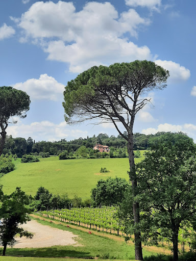 Chiosco Dolce Vita - Thumbnail