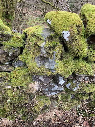 Stone Faces - Visual
