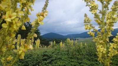 Akçakavak Yaylası